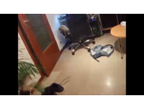 Brancão levou jeba grossa do vizinho caminhoneiro 8 Snapshot 12 19